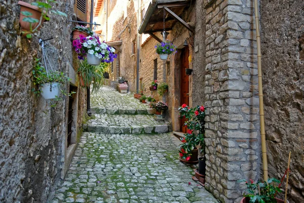 Sermoneta Italy 2021 Улица Между Старинными Средневековыми Каменными Зданиями Историческом — стоковое фото