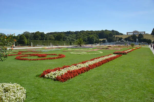 Viena Austria 2015 Parque Público Frente Edificio Histórico Ciudad —  Fotos de Stock