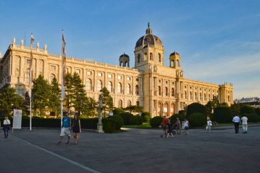 Wien, Avusturya, 08 / 01 / 2015. İmparatorluk döneminin antik bir sarayının cephesi..