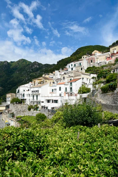 Vue Panoramique Albori Village Sur Côte Amalfitaine Italie — Photo