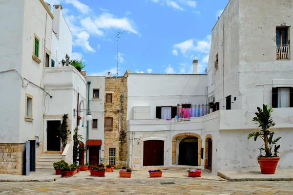 Polignano Mare Italie 2015 Architecture Typiquement Méditerranéenne Des Maisons Une — Photo