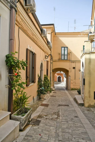 Mała Uliczka Pomiędzy Starymi Domami Candeli Średniowieczną Wioską Regionie Puglia — Zdjęcie stockowe