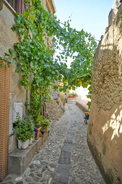 Uma Rua Centro Histórico Acri Uma Cidade Medieval Região Calábria — Fotografia de Stock