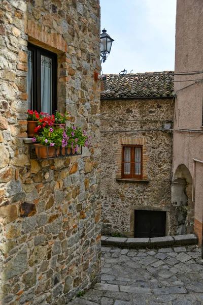コゼンツァ州の中世の町 フィオーレのサン ジョバンニの歴史的中心部の通り — ストック写真