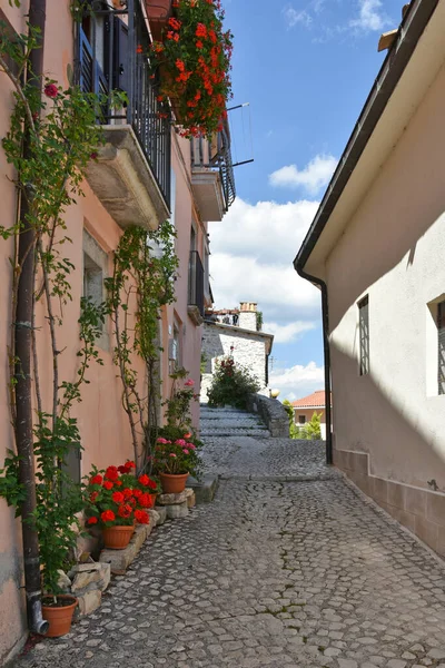 Une Rue Étroite Civitella Alfedena Une Ville Montagne Dans Région — Photo