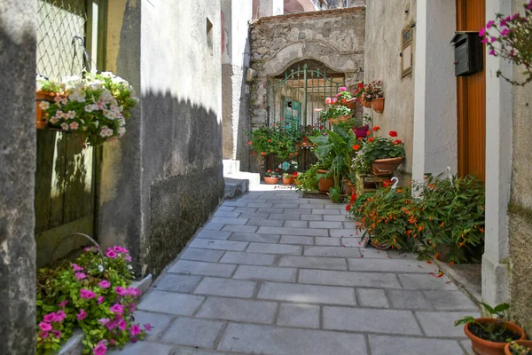 Вузька Вулиця Серед Старих Будинків Castelluccio Superiore Невеликого Містечка Провінції — стокове фото