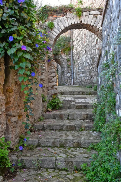 Eine Straße Historischen Zentrum Von Gaeta Einer Mittelalterlichen Stadt Der — Stockfoto