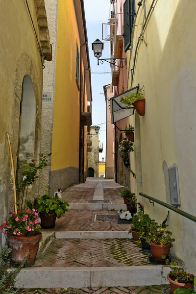 イタリアのモリーゼ地方の旧市街 ミラベッロ サンニティコの歴史的中心部の通り — ストック写真