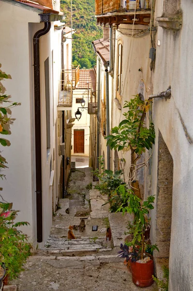 Ulice Monteroduni Staré Město Provincii Molise Region Itálie — Stock fotografie