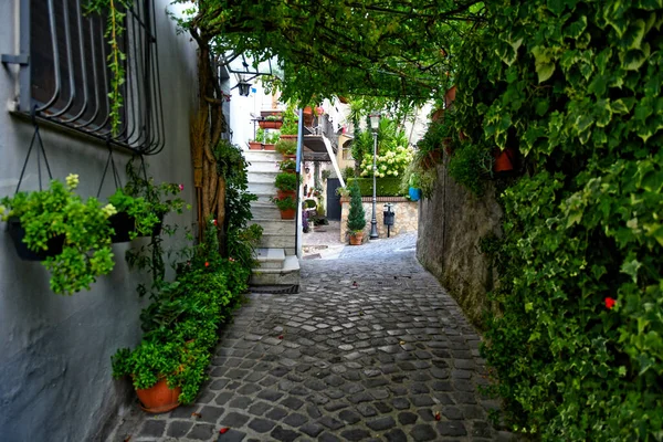 意大利Salerno省Contursi的一条狭窄的街道 — 图库照片