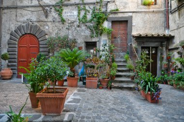 İtalya 'nın Lazio bölgesinde bir ortaçağ kasabası olan Bracciano' daki eski bir evin cephesi..