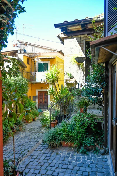 Uma Rua Estreita Nemi Uma Cidade Medieval Com Vista Para — Fotografia de Stock