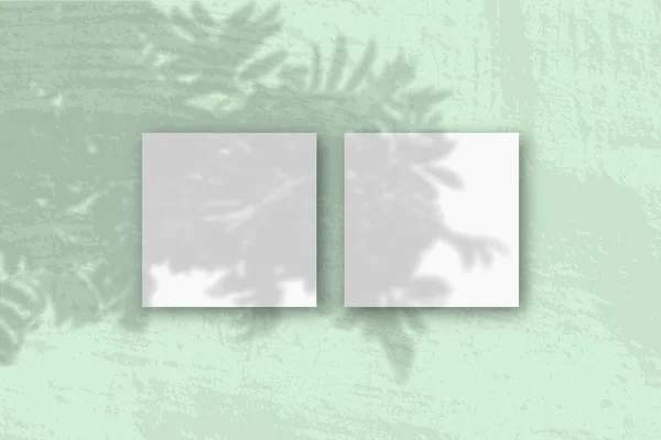 Természetes Fény Vet Árnyékok Rowan Négyzet Alakú Fehér Texturált Papír — Stock Fotó
