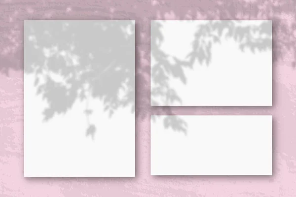 Αρκετά οριζόντια και κάθετα φύλλα λευκού χαρτιού με φόντο ροζ τοίχου. Mockup με μια επικάλυψη των σκιών των φυτών. Φυσικό φως ρίχνει σκιές από ένα κλαδί της Apple — Φωτογραφία Αρχείου