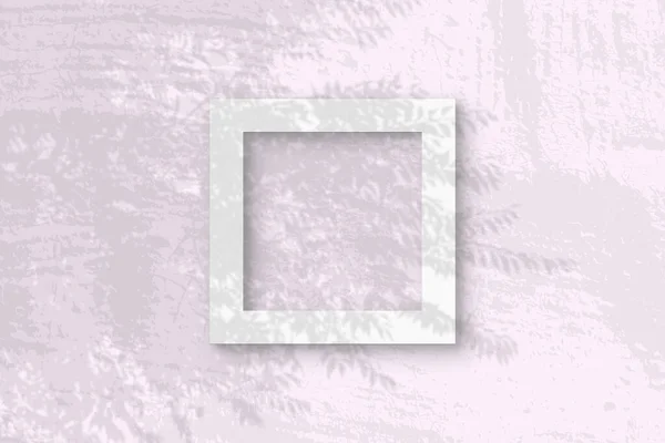 A luz natural lança sombras de um quadro quadrado de plantão exótico de papel texturizado branco — Fotografia de Stock
