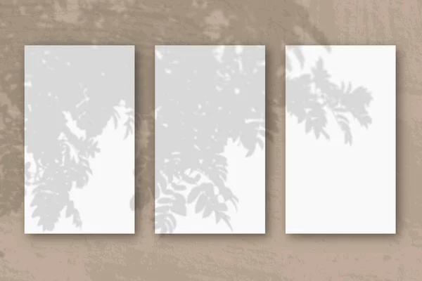 3 hojas verticales de papel blanco texturizado sobre fondo de mesa marrón. Mockup superpuesto con las sombras de la planta. La luz natural proyecta sombras desde una rama de Rowan. Orientación horizontal — Foto de Stock
