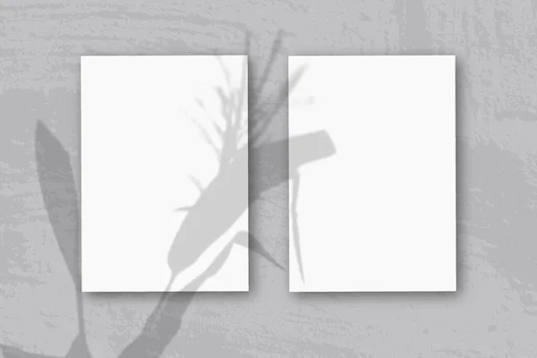 3 vertical sheets of textured white paper on soft blue table background. Mockup overlay with the plant shadows. Natural light casts shadows from a Spikelets and leaves of the plant. Horizontal — Stock Photo, Image