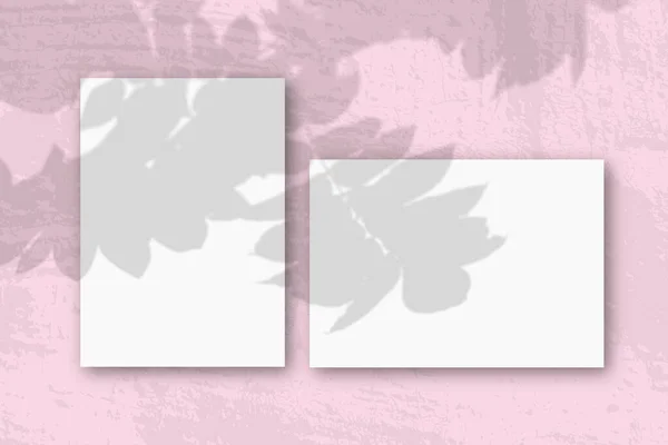 Horizontale und vertikale Blätter aus weißem strukturiertem Papier vor rosa Wandhintergrund. Mockup mit einer Überlagerung von Pflanzenschatten. Natürliches Licht wirft Schatten von einem Ebereschenzweig — Stockfoto