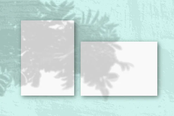 Folhas horizontais e verticais de papel branco texturizado contra um fundo de parede rosa. Mockup com uma sobreposição de sombras de fábrica. A luz natural lança sombras de uma planta tropical — Fotografia de Stock