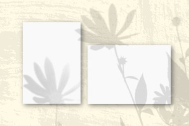 Yatay ve dikey beyaz desenli kağıtlar, sarı duvar zeminine karşı. Bitki gölgeleriyle kaplanmış bir model. Doğal ışık, Kudüs enginar çiçeklerinden gölgeler saçar.