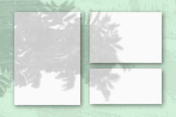 Diversi fogli orizzontali e verticali di carta strutturata bianca su uno sfondo a parete blu. Mockup con una sovrapposizione di ombre vegetali. La luce naturale proietta ombre da un ramo di Rowan — Foto Stock