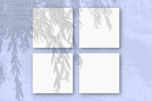 A természetes fény árnyékot vet egy fűzfaágról 4 négyzet alakú fehér texturált papírlapra. — Stock Fotó