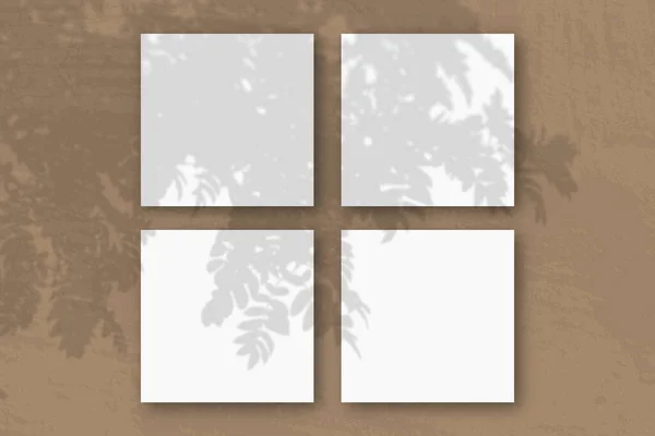 A luz natural lança sombras de um ramo de Rowan em 4 folhas quadradas de papel texturizado branco — Fotografia de Stock
