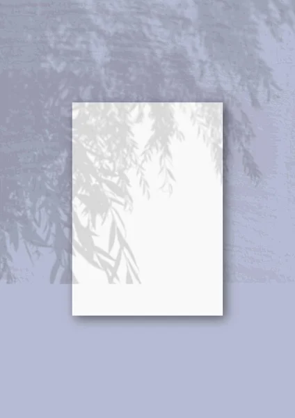 A vertical A4 sheet of white textured paper on the blue wall background. Mockup overlay with the plant shadows. Natural light casts shadows from a willow branch. Vertical orientation — Stock Photo, Image