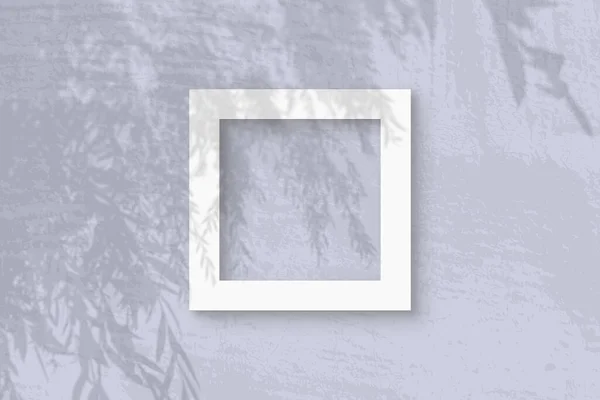 Természetes fény veti árnyékok egy fűzfa ág négyzet alakú keret fehér texturált papír — Stock Fotó