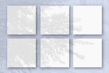 Doğal ışık, egzotik bir düzlemden gölgeler saçar. 6 kare beyaz desenli kağıt.