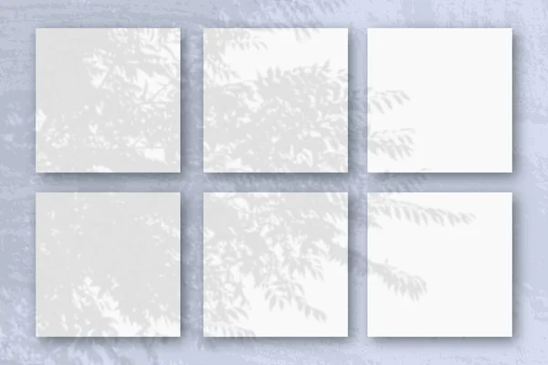Természetes fény árnyékokat vet egy egzotikus ültetvényről 6 négyzet alakú fehér texturált papír — Stock Fotó