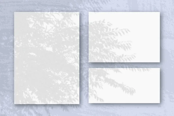 Várias folhas horizontais e verticais de papel branco texturizado contra um fundo de parede azul. Mockup com uma sobreposição de sombras de fábrica. A luz natural lança sombras de uma fábrica exótica — Fotografia de Stock