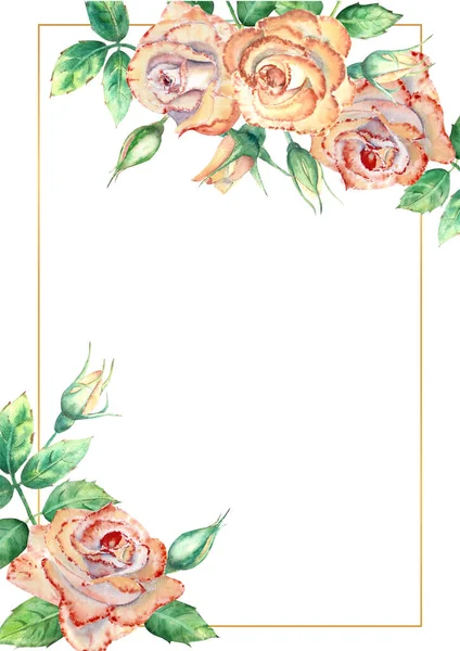 Золотая геометрическая рамка украшена цветами. Персиковые розы, зеленые листья, открытые и закрытые цветы. Акварель — стоковое фото