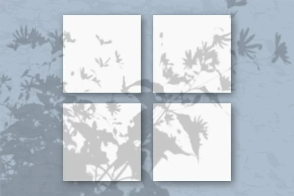 4 hojas cuadradas de papel blanco texturizado contra una pared azul. Burla con una superposición de sombras de plantas. La luz natural proyecta sombras desde la parte superior de las plantas de campo y las flores. Piso tendido, vista superior — Foto de Stock