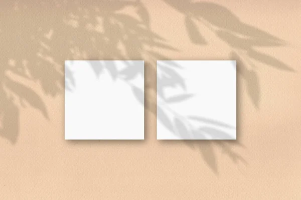 2 квадратных листа белой текстурированной бумаги напротив бежевой стены. Наложение макета на тени растений. Естественный свет отбрасывает тени от листьев деревьев. Плоский, вид сверху — стоковое фото