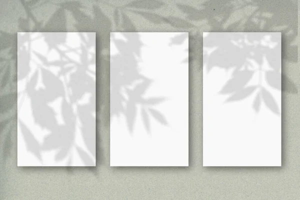 3 folhas verticais de papel texturizado branco em um fundo de parede verde pastel. Mockup com uma sobreposição de sombras de fábrica. A luz natural lança sombras da folhagem das árvores — Fotografia de Stock