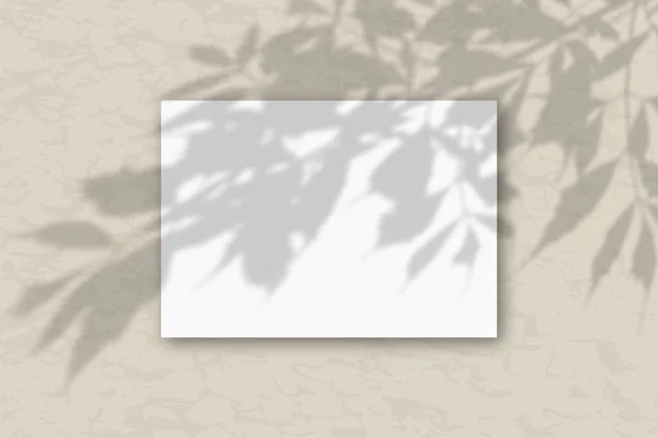Uma folha A4 horizontal de papel texturizado branco no fundo da parede cinza. Mockup se sobrepõe às sombras das plantas. A luz natural lança sombras da folhagem das árvores — Fotografia de Stock