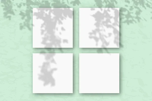 4 folhas quadradas de papel texturizado branco contra uma parede verde. Mockup se sobrepõe às sombras das plantas. A luz natural lança sombras da folhagem das árvores. Deitado plano, vista superior — Fotografia de Stock