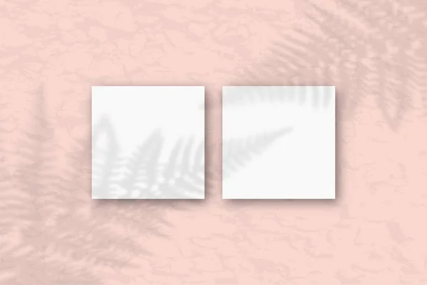 2 τετράγωνα φύλλα από λευκό χαρτί με υφή στο φόντο του ροζ τοίχου. Mockup με μια επικάλυψη των σκιών των φυτών. Φυσικό φως ρίχνει σκιές από τα φύλλα φτέρη. Επίπεδο lay, πάνω όψη — Φωτογραφία Αρχείου