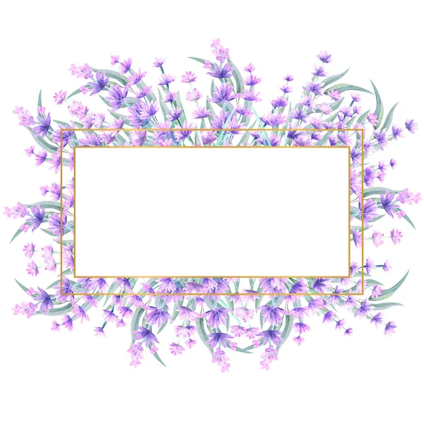 Levendula virágok téglalap alakú arany keretben. Kézzel rajzolt akvarell illusztráció. Meghívókhoz, üdvözlőlapokhoz, nyomtatványokhoz, plakátokhoz, hirdetésekhez — Stock Fotó
