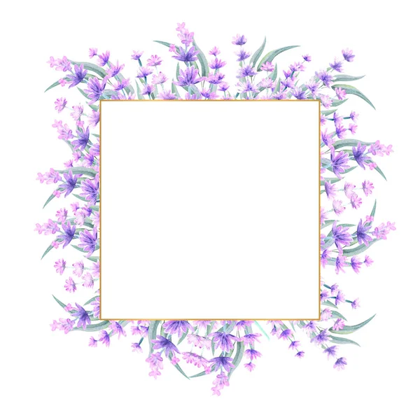 Lavender flowers in a square gold frame. Hand-drawn watercolor illustration. For invitations, greeting cards, prints, posters, advertising — Stock Photo, Image