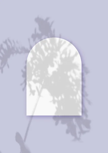 Mockup med vegetabiliska skuggor överlagrade på ett ark i form av en båge av texturerat vitt papper på en violett bordsbakgrund. Vertikal inriktning — Stockfoto