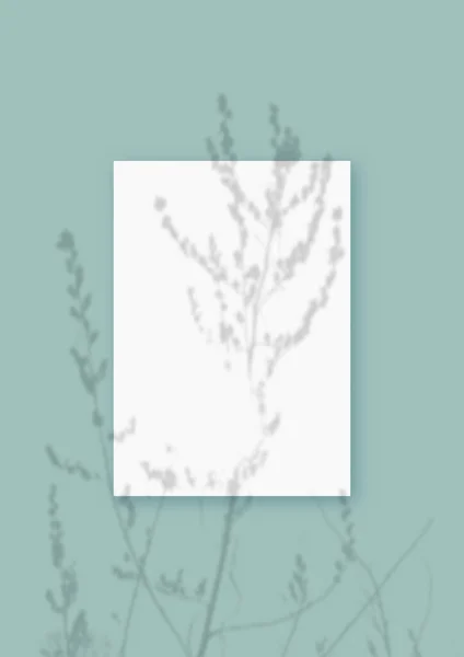 自然光将植物的阴影投射在一张白色纹理纸格式的垂直薄片上，躺在绿色纹理背景上。莫科普 — 图库照片