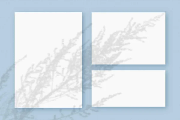 Mockup con ombre vegetali sovrapposte su 3 fogli orizzontali e verticali di carta bianca strutturata su fondo tavolo blu — Foto Stock