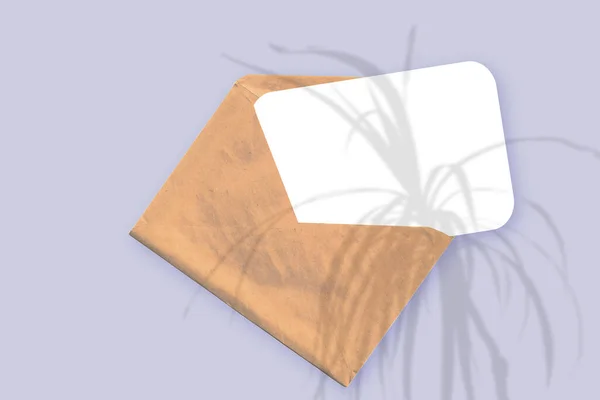 La luce naturale proietta ombre dalla pianta su una busta con un foglio di carta bianca disteso su uno sfondo strutturato viola. Mockup — Foto Stock