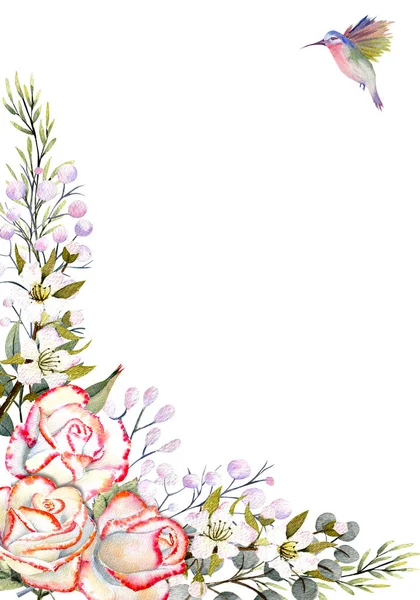 Κάθετο πλαίσιο με ακουαρέλα τριαντάφυλλο λουλούδια, φύλλα, διακόσμηση και κολιμπρί. Για το σχεδιασμό ευχετήριων καρτών, προσκλήσεων κ.λπ. — Φωτογραφία Αρχείου