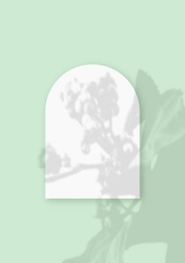 Sebze gölgeli maket, yeşil masa arkaplanındaki dokulu beyaz kağıt şeklinde bir çarşaf üzerine yerleştirilmiş. Dikey yönelim