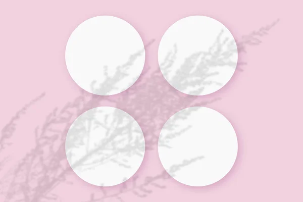 粉红桌子背景上的四张圆形白纸上涂有蔬菜阴影的软垫 — 图库照片