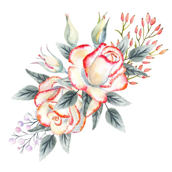 一束带粉色边缘的白玫瑰，叶子，浆果，装饰枝条。用于贺卡、邀请函等设计的水彩画 — 图库照片