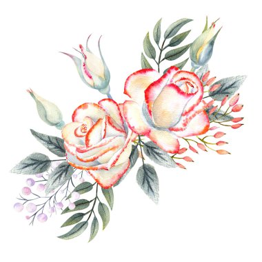 Pembe kenarlı bir buket beyaz gül yapraklar, böğürtlenler, dekoratif dallar. Tebrik kartı, davetiye vesaire için suluboya çizimleri